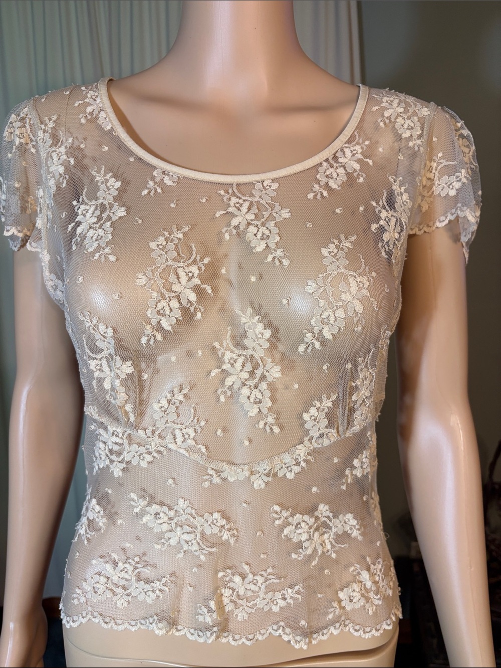 Sheer Lace Short Sleeve Top - Cream